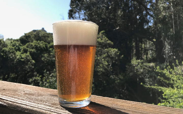 Beer Image for Plague of Kali Rye IPA provided by Mad Zack Brewing