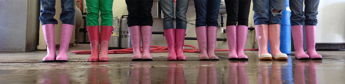 Banner Imaged provided by brewer Pink Boots Society