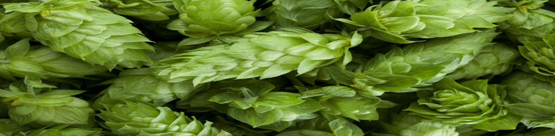 Banner image provided and maintained by brewer Omega Point Brewing