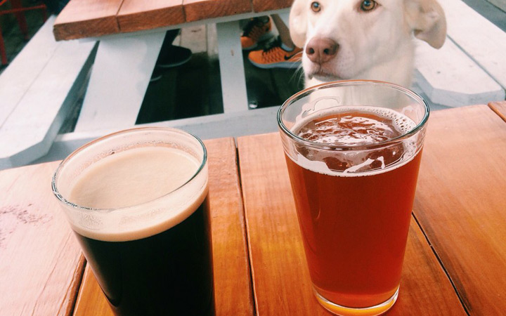 https://picobrewcontent.blob.core.windows.net/brewmarketplace/Brewer/Gallery/BCC18D01660D4617BBEEBD6AF6945353/BCC18D01660D4617BBEEBD6AF6945353_6.jpg?lastmod=636095686970000000